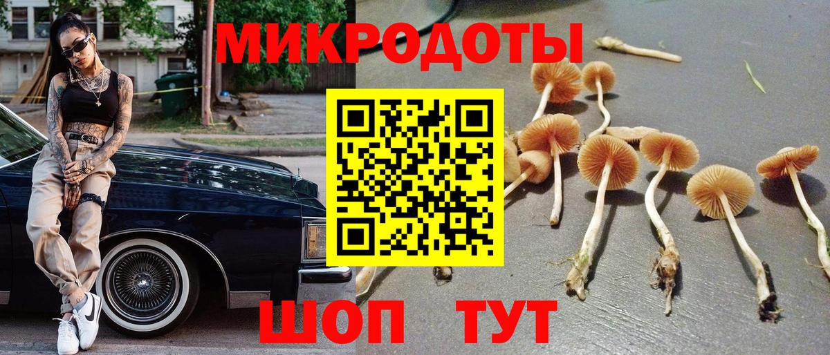 Домодедово  Галлюциногенные грибы Psilocybine cubensis  Псилоцибиновые грибы Psilocybine cubensis  Вход с VPN 